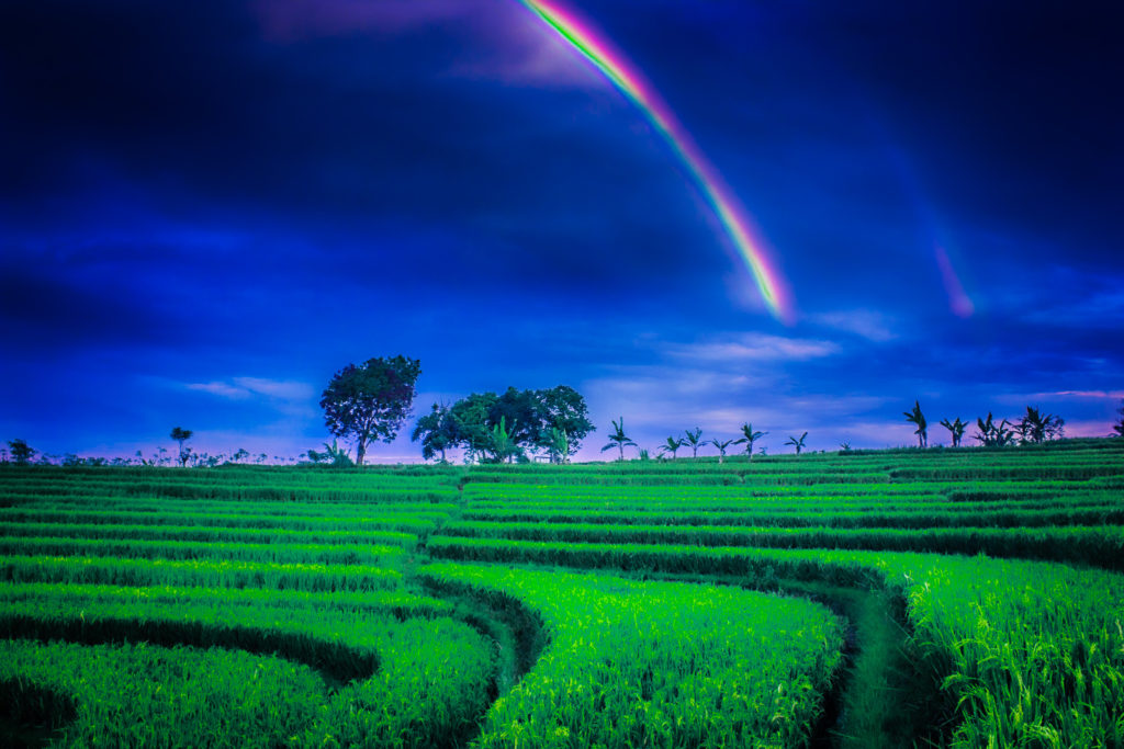 インドネシアの虹