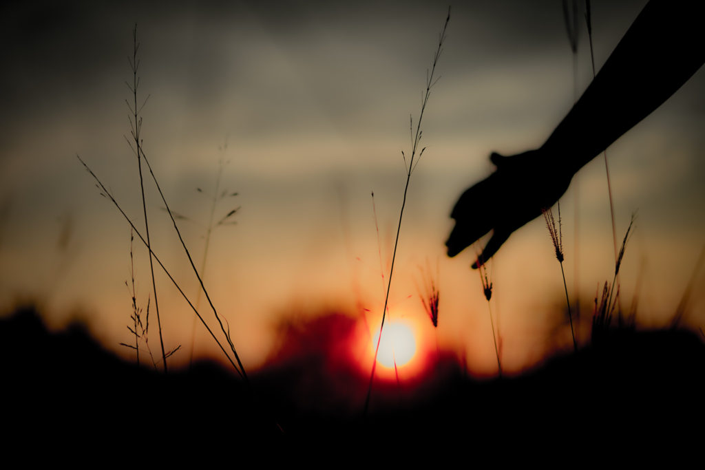 子供の手と夕陽