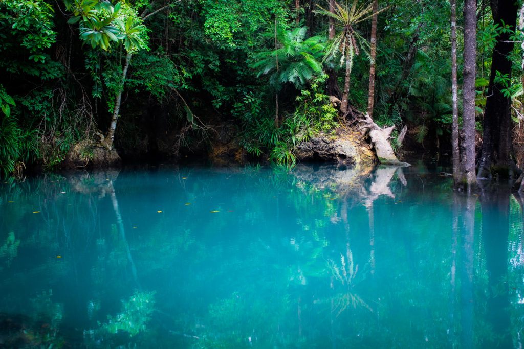 インドネシアの泉